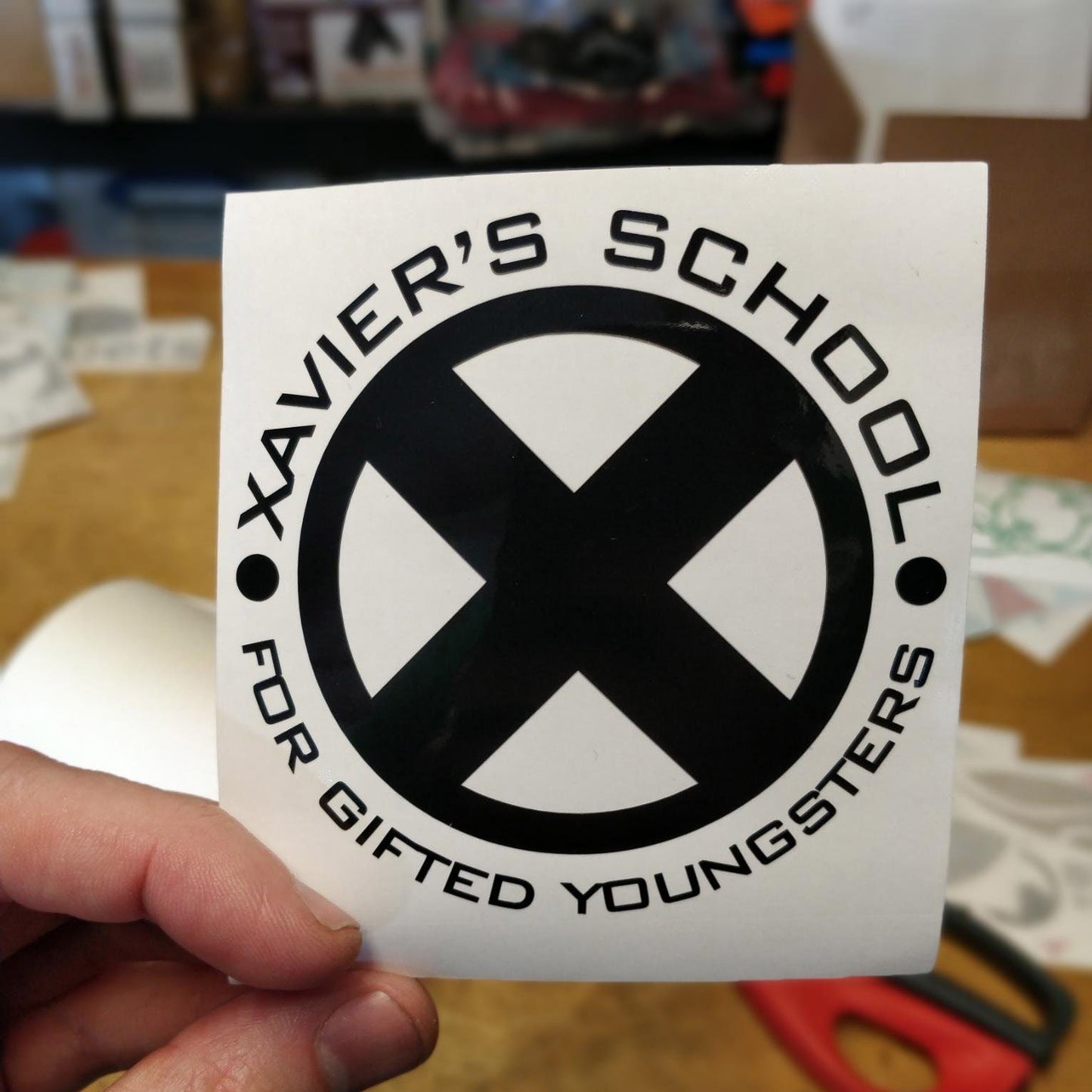 Xavier's School for Gifted Youngsters Decal Sticker