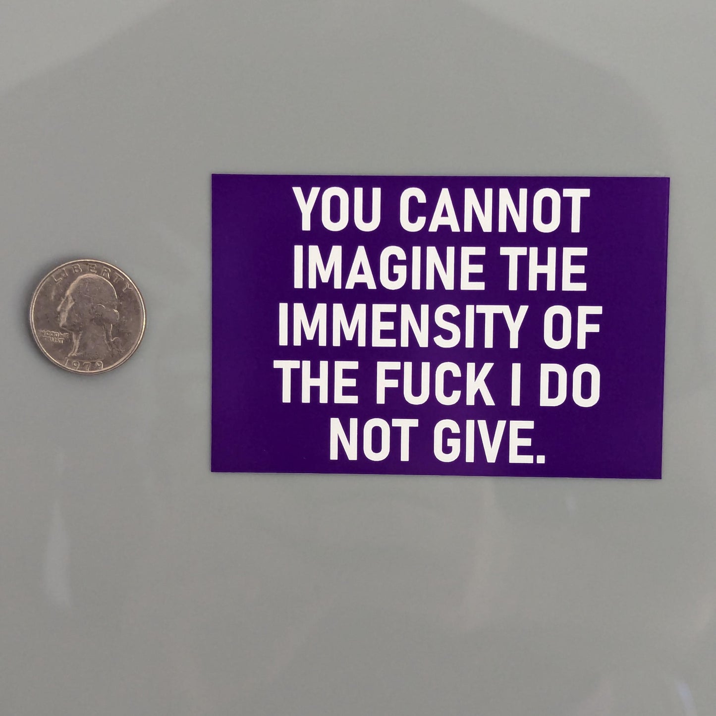 You Cannot Imagine the Immensity of the Fuck I Do Not Give Sticker Vinyl Decal