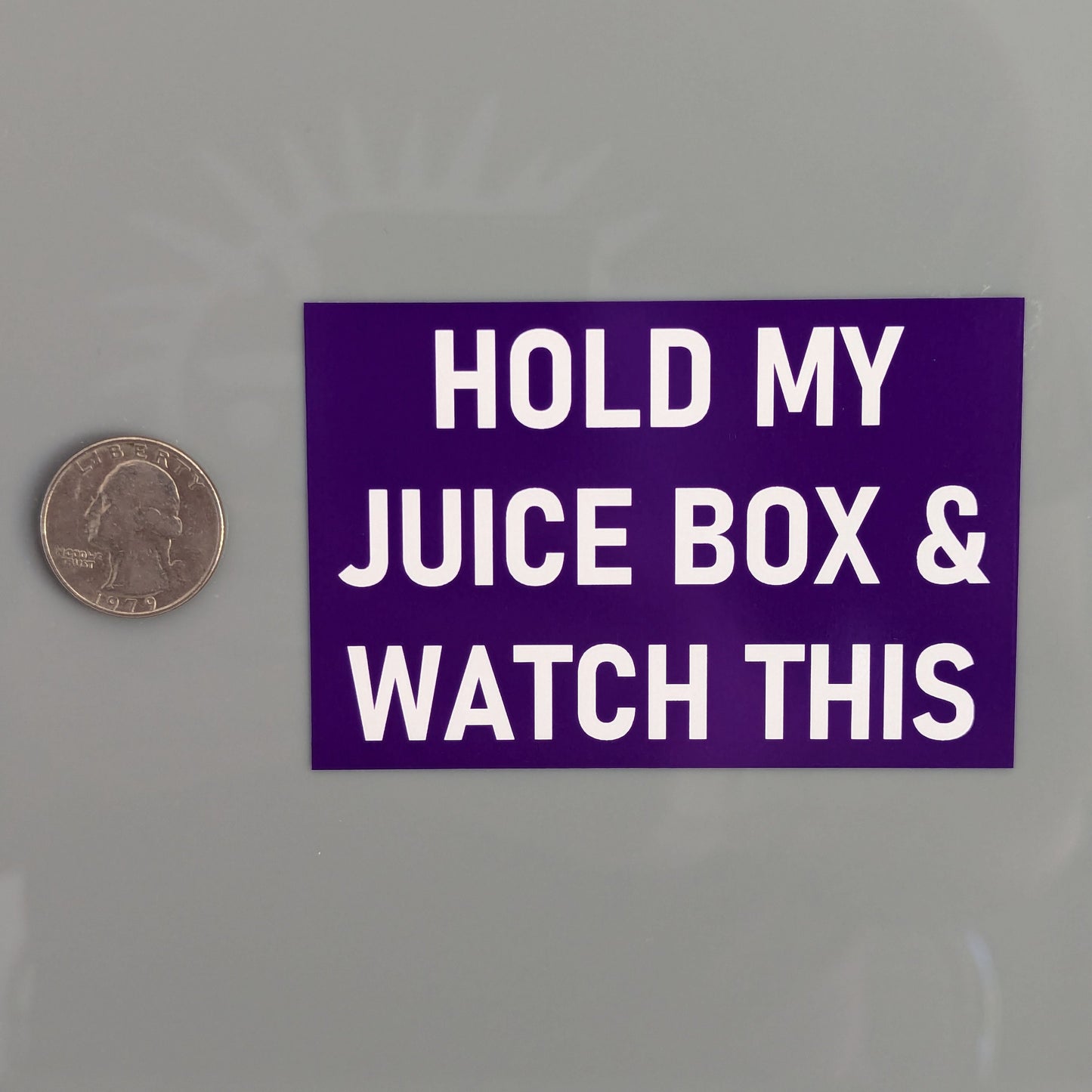 Hold My Juice Box and Watch This Sticker Vinyl Decal