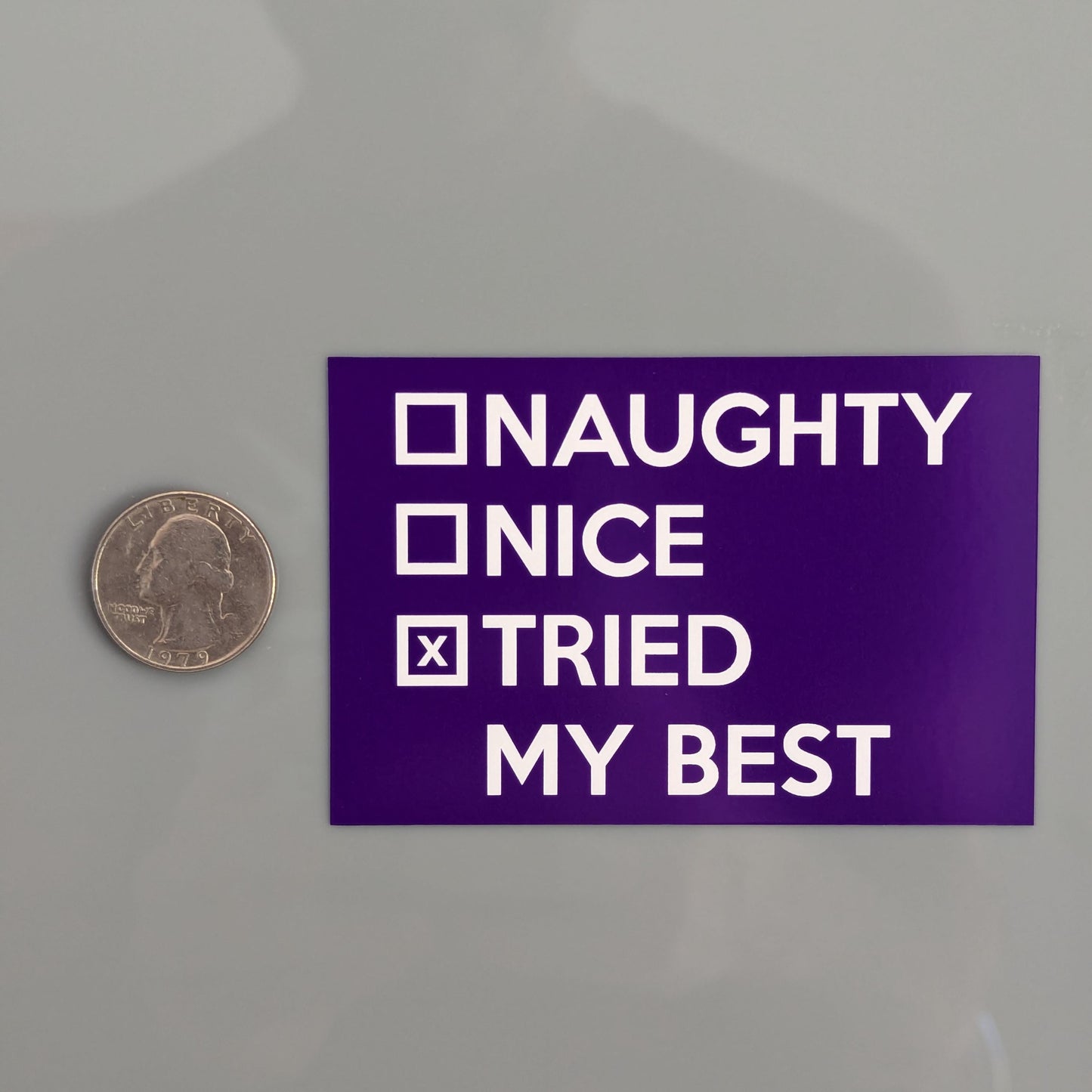 Naughty Nice Tried My Best Sticker Vinyl Decal