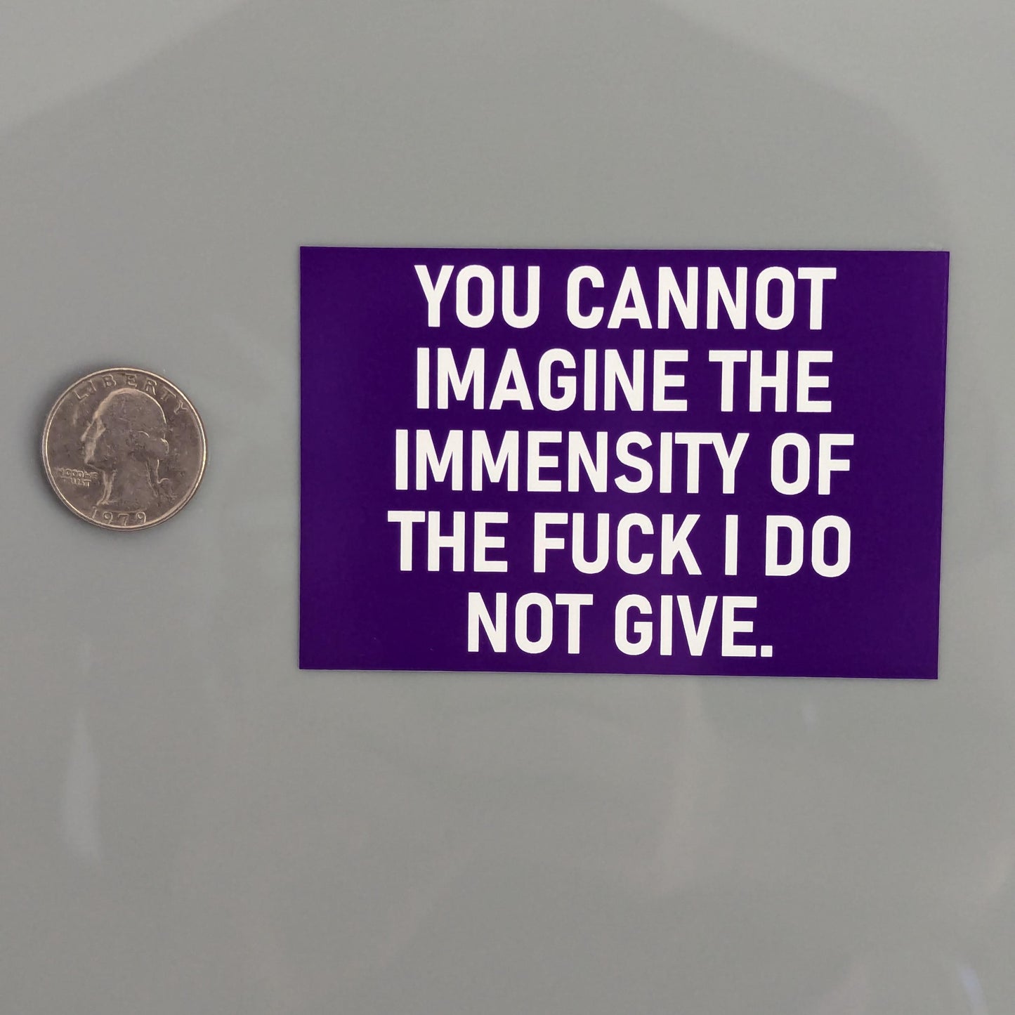 You Cannot Imagine the Immensity of the Fuck I Do Not Give Sticker Vinyl Decal