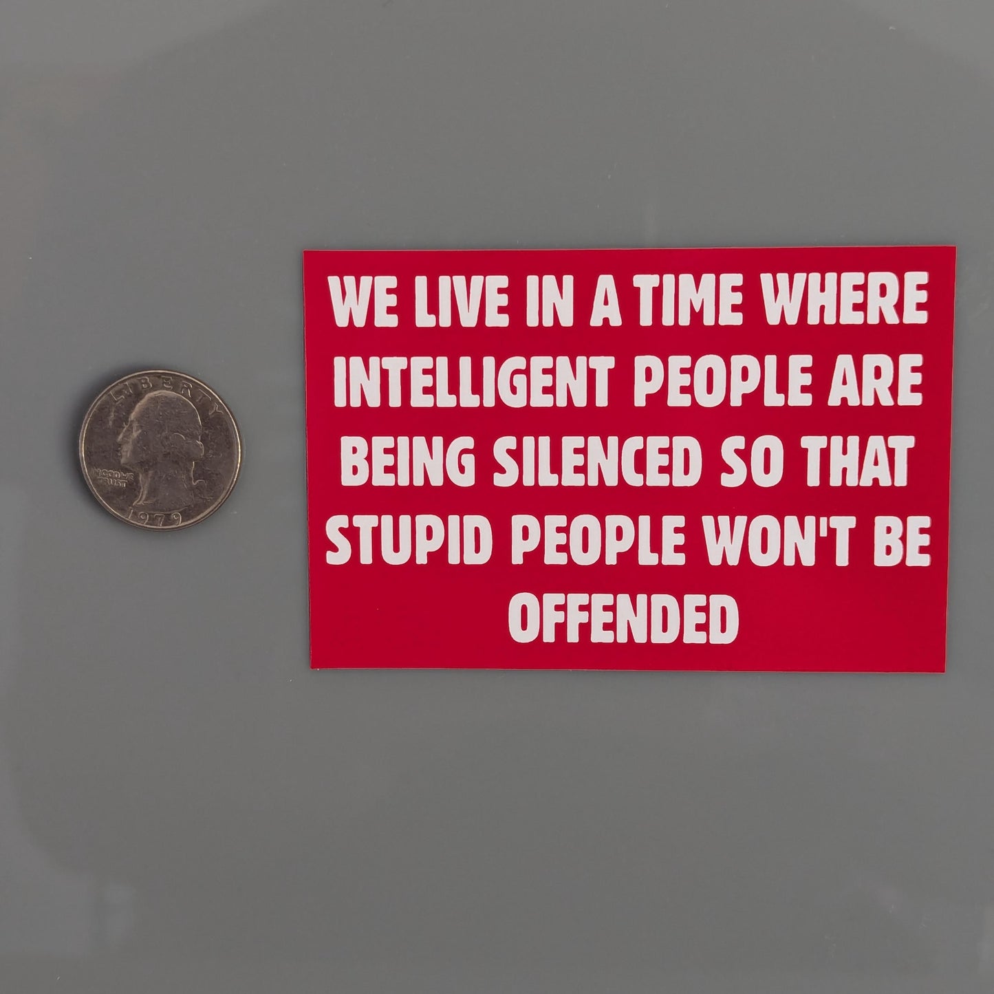 We Live In a Time Where Intelligent People Are Being Silenced So That Stupid People Won't Be Offended Sticker Vinyl Decal