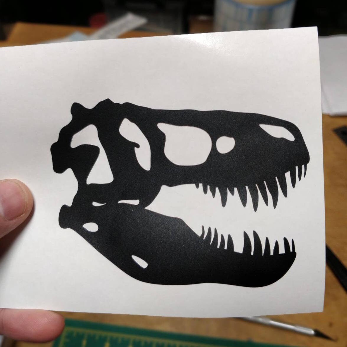 Dinosaur Skull Decals