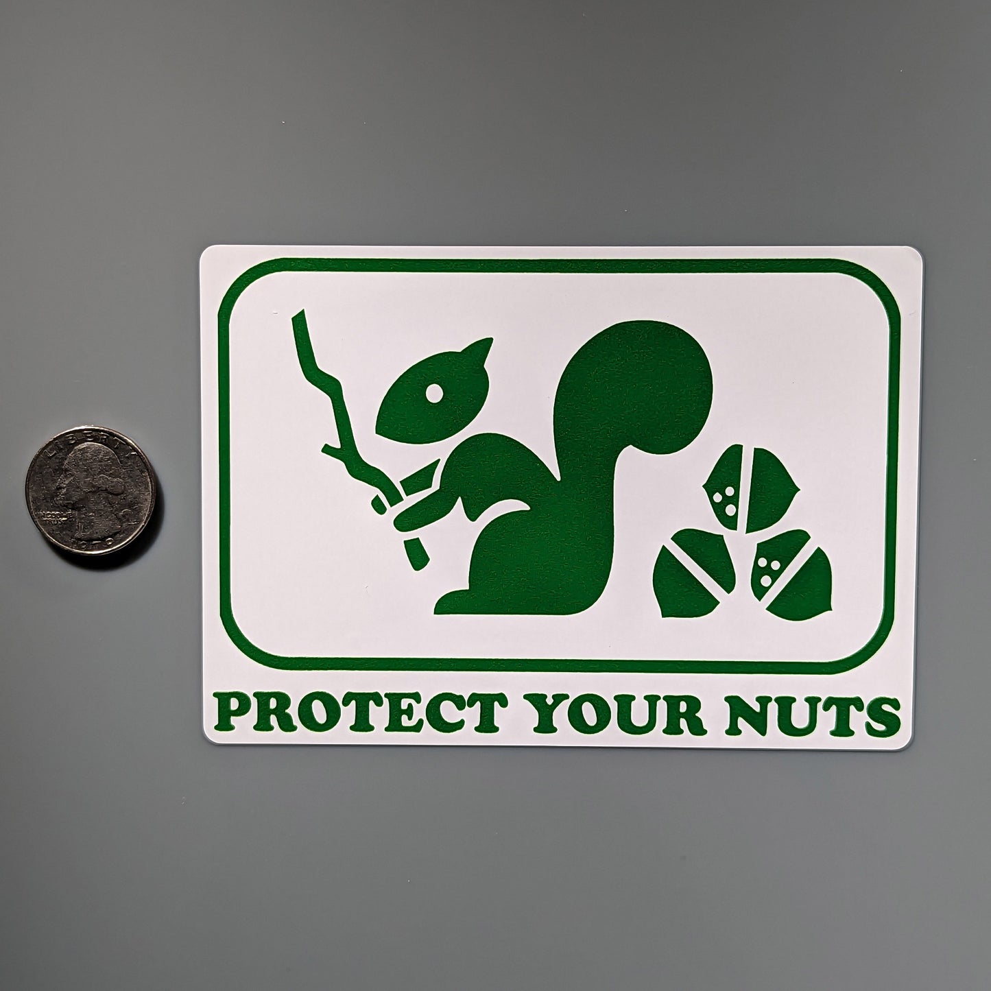 Protect Your Nuts Decal